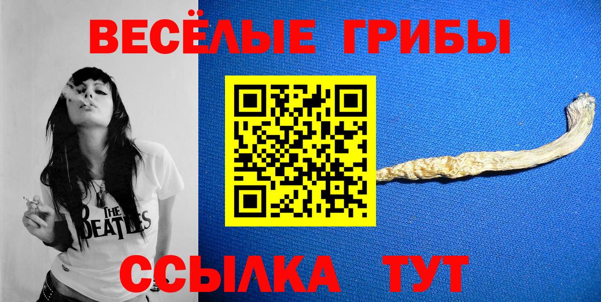 как найти закладки  Галлюциногенные грибы Psilocybe  Вход с VPN  Осинники 